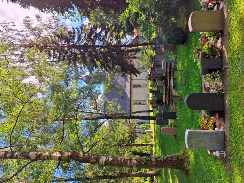 20260611 163552 web
